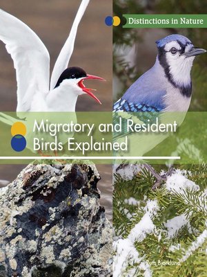 cover image of Migratory and Resident Birds Explained